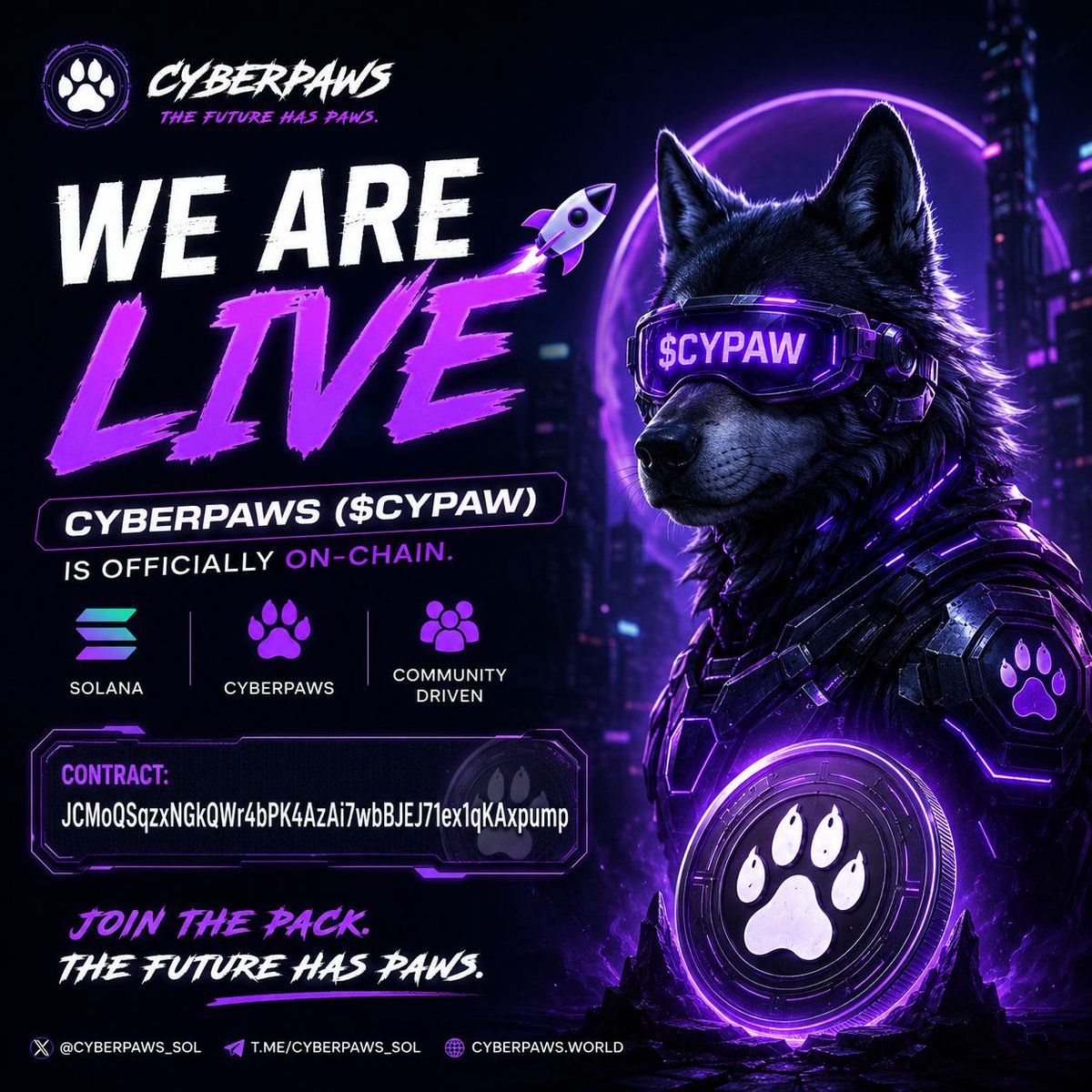 CyberPaws tweet media
