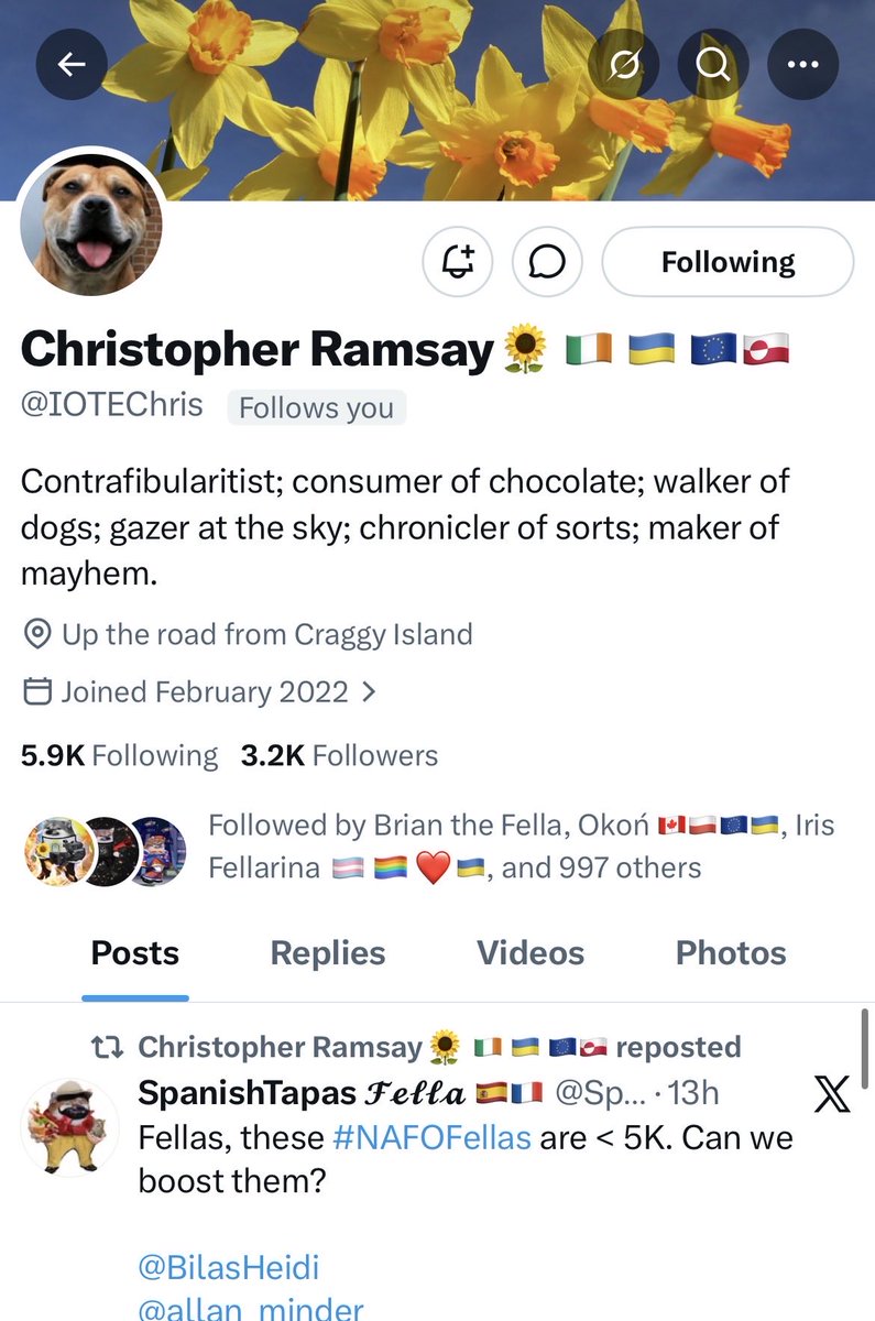 KY Painter tweet media