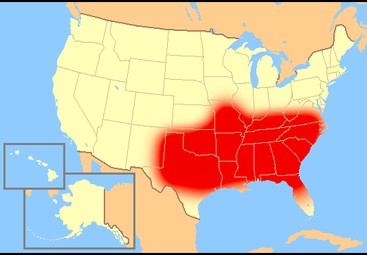 Amazing Maps tweet media