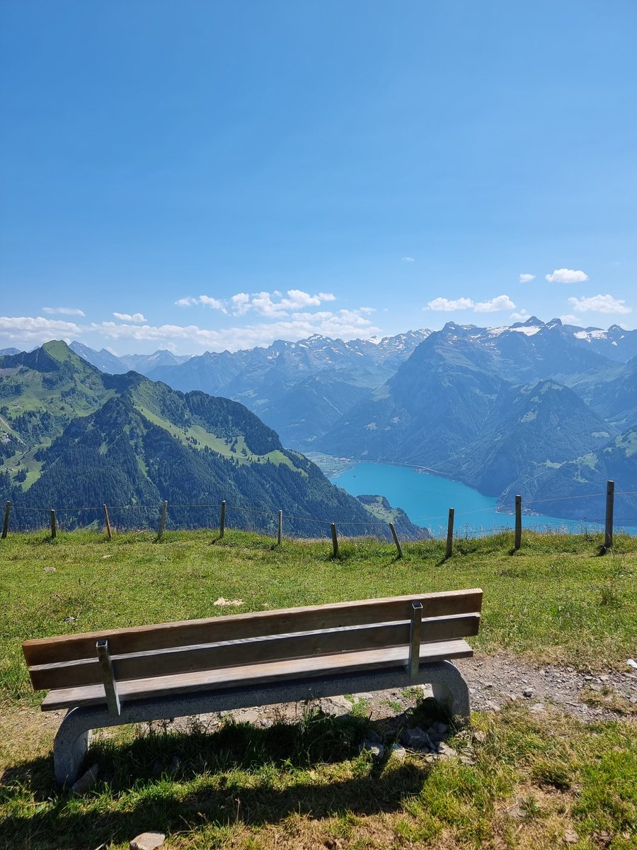 arabskaia's tweet photo. Sentier du Fronalp (Fronalpweg), sublime 🤭 https://t.co/OVJyG8iwhY