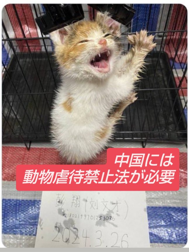 GlassOnion2 tweet media