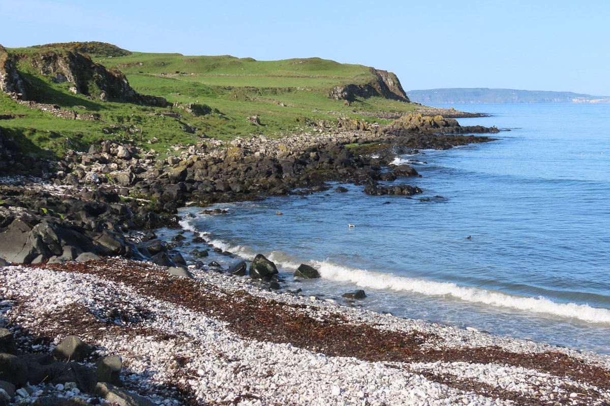 Rathlin Stickybeak tweet media
