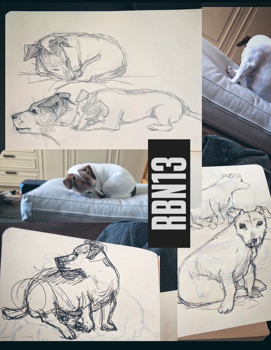 Rooteias's tweet photo. Some drawings of my baby https://t.co/YKEymLaxZm