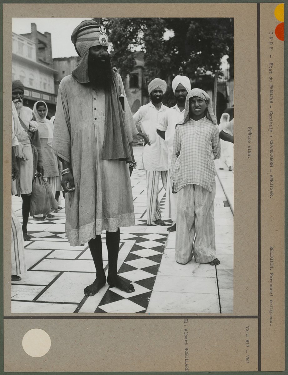 ਠੇਠ ਪੰਜਾਬੀ Theth Panjabi ٹھیٹھ پنجابی tweet media
