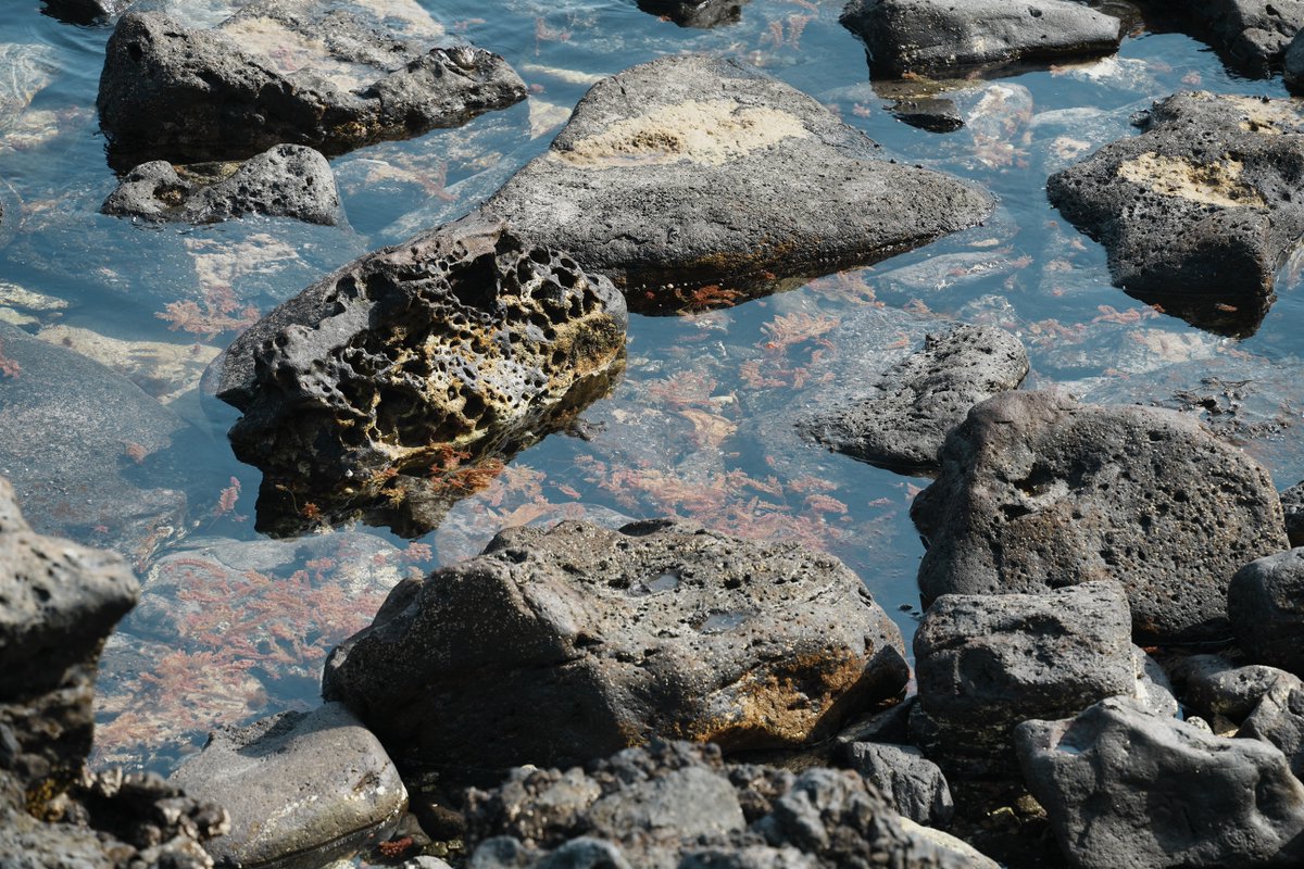 Mandelrot's tweet photo. Un filtro polarizador puede tener varios usos en fotografía, uno de ellos es hacer desaparecer el agua como por arte de magia. https://t.co/Aj9snro27d