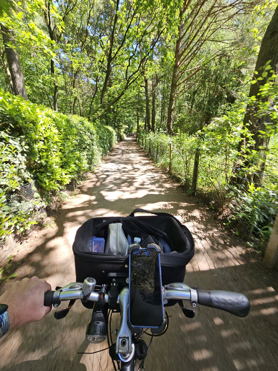 Der_Matten's tweet photo. Heute am #SteinhuderMeer #Hannover https://t.co/GVn5t8qs30