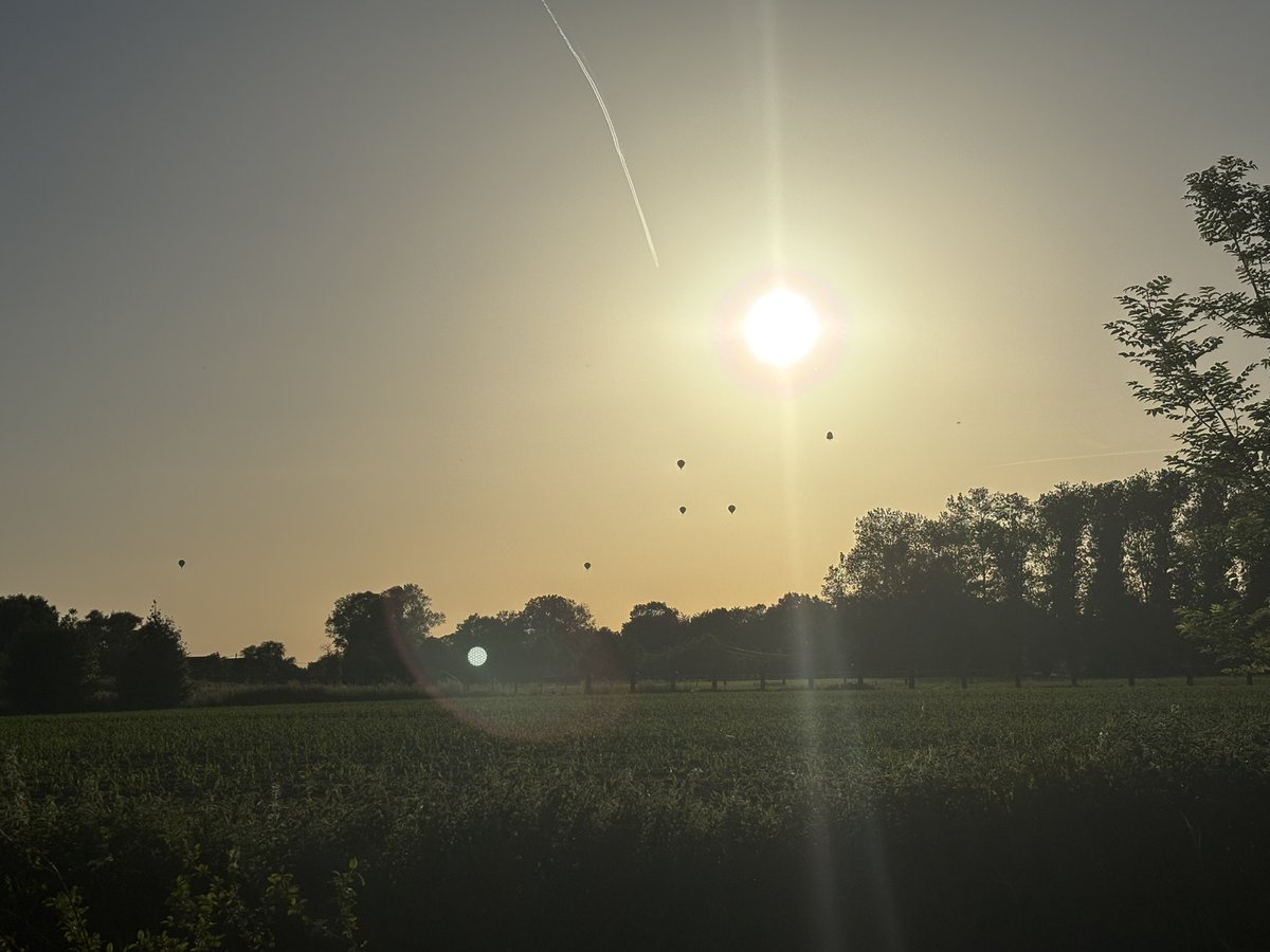 Froy's tweet photo. Zo van die zomerdagen ☀️☀️ https://t.co/6NxD8J5eN4