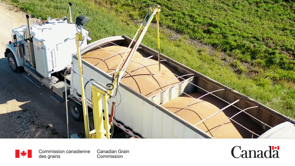 Commission canadienne des grains tweet media