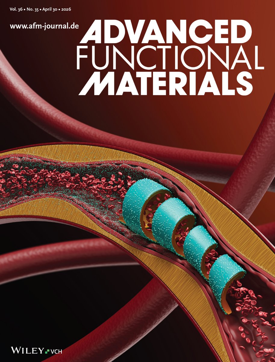 Ella_Maru's tweet photo. New cover in Advanced Functional Materials! 🤖🩸✨

Here we showed a tiny "soft" #robot, developed by @drhakanceylan from @MayoClinic. The robot is guided by #magnets from outside the body, traveling through a blood vessel to deliver treatment exactly where it's needed and without any harm.
That's why it's called #EndoBot 🤖

Congratulations to the whole team! 💙
🔗https://t.co/5FIAjekrAA