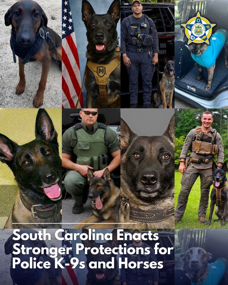 National Fraternal Order of Police (FOP) tweet media