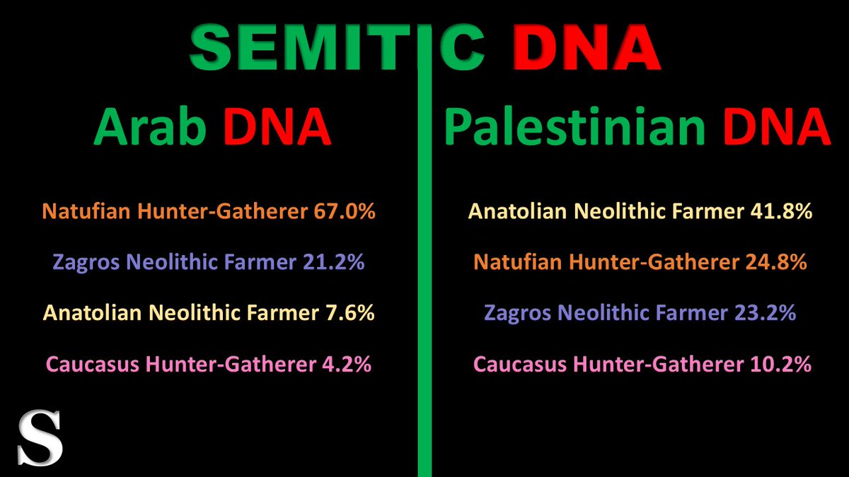 SafeCare's tweet photo. This is what DNA of Abraham’s descendants look like - https://t.co/GHf1ftLuR0 #Arabs #Palestinians #Semitic https://t.co/1JZe517grO