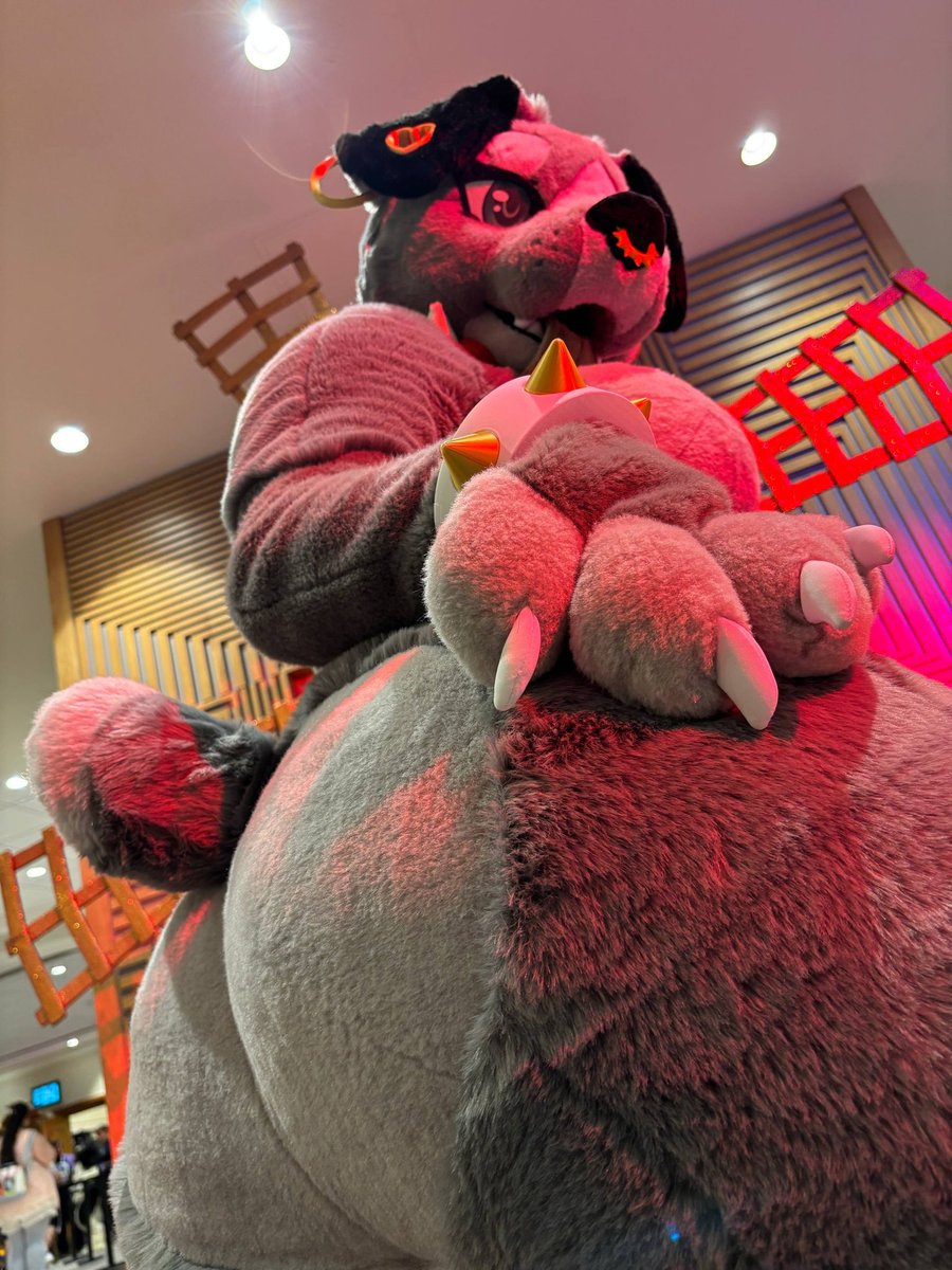 ✨️💋𝓡𝓪𝓳𝓪🐾✨️ tweet media