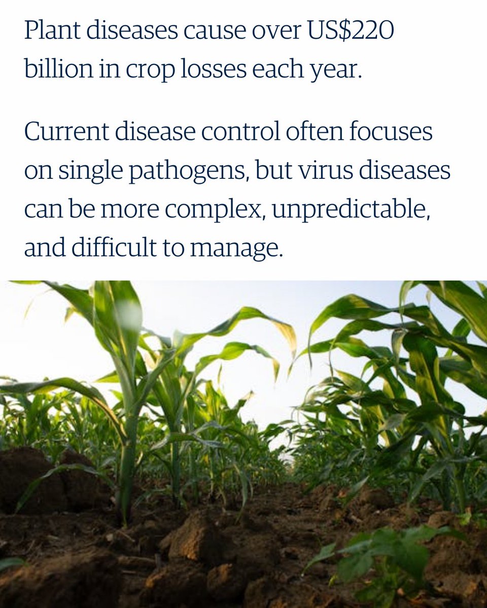 UBC Faculty of Land and Food Systems tweet media