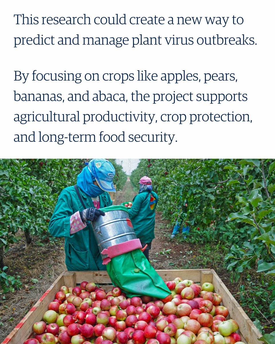 UBC Faculty of Land and Food Systems tweet media