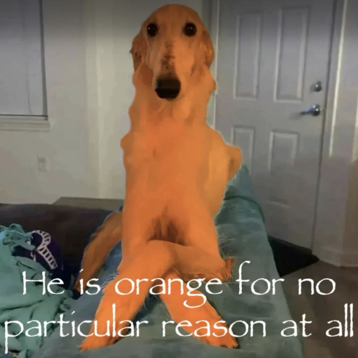 daily childe SP⋆⟢ tweet media