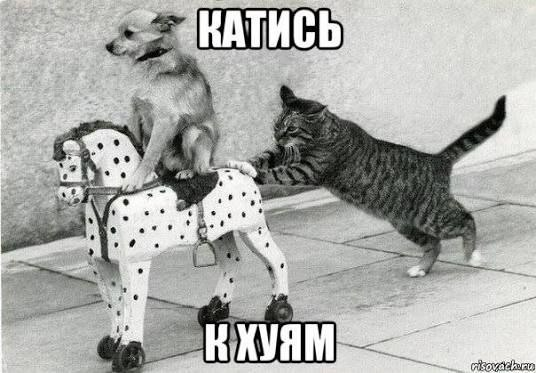 Бачу Пікчу™ tweet media