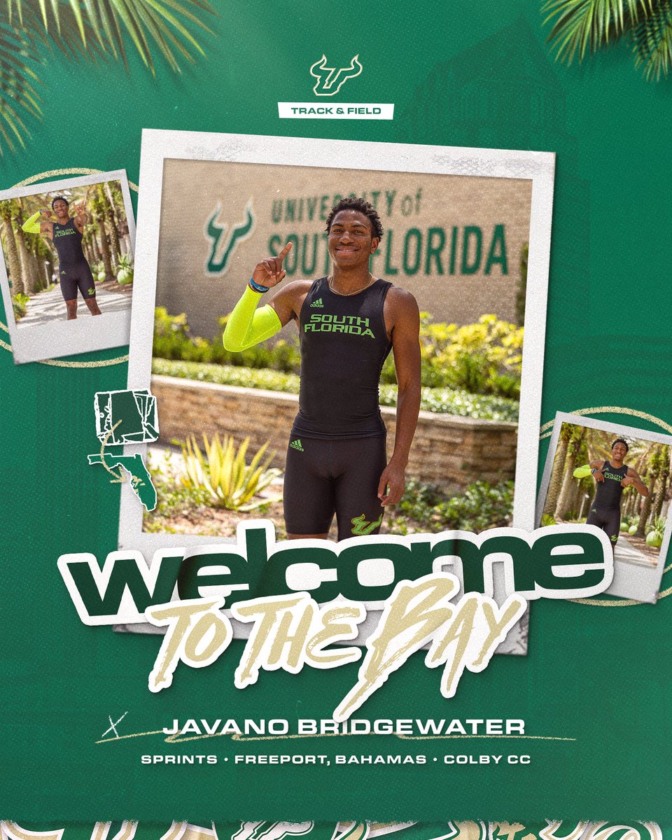 USF XCTF tweet media