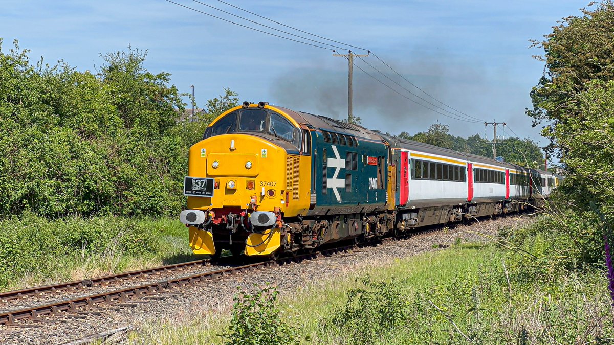 GeorgeBeany978's tweet photo. Early-ish doors on Sunday morning of the Mid-Norfolk Diesel Gala, visiting Class 37 37407 'Blackpool Tower' is seen storming out of Dereham on the 10:40 Wymondham service, 47596 seen just out of shot on rear.

Even though it was the morning, the heat was strong 😬. https://t.co/V5Gg2GPaSN