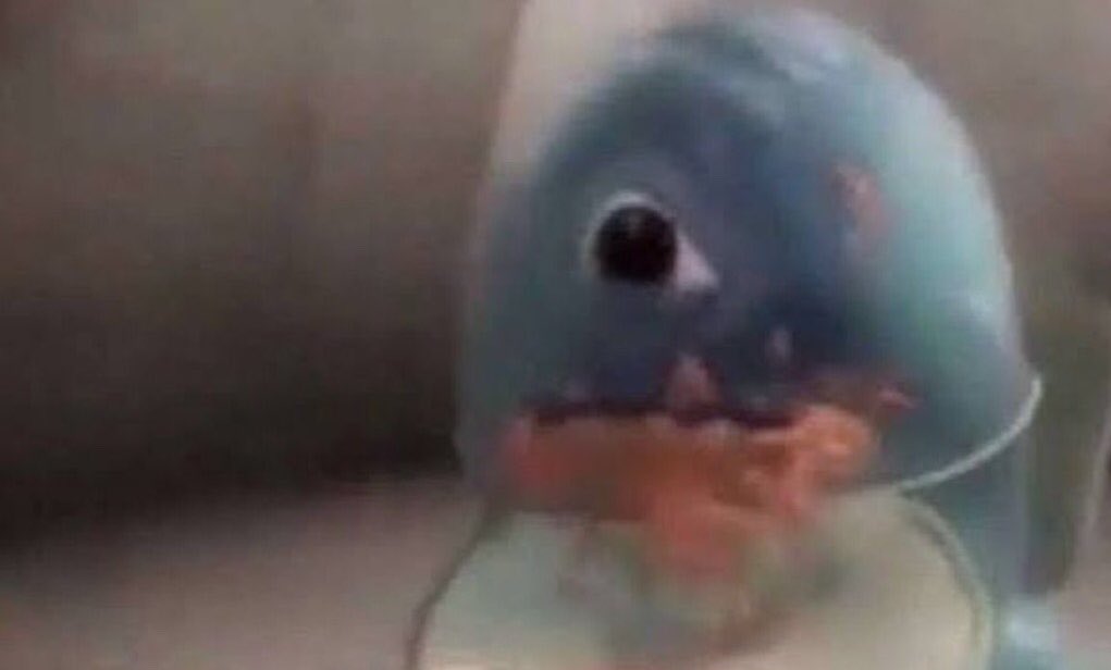 Rhae𝄢 tweet media