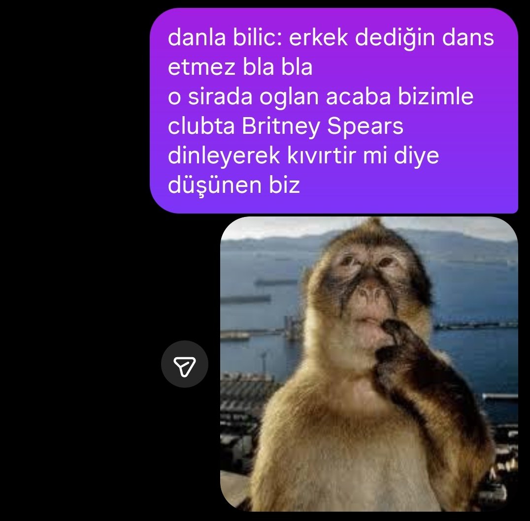 ve garip kont 🥀 tweet media