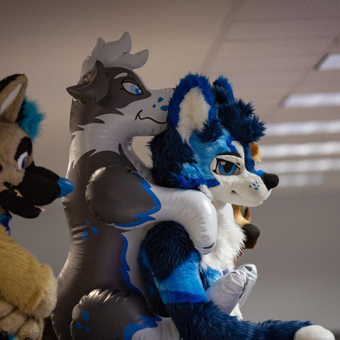 skeelshusky's tweet photo. On my way to steal your boy for some pooltoy fun 😈 https://t.co/3naeyhrKFW