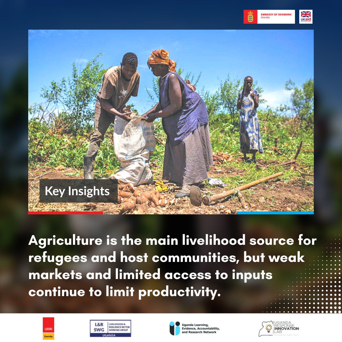 ULearnUganda's tweet photo. 📘 New report: Private Sector Engagement in the AgriSector in the 🇺🇬 Refugee Response 🌱
Did you know that 82% of surveyed companies were already doing business in refugee-hosting districts — mainly for growth opportunities, not donor incentives?
🔗https://t.co/CKrEyoRz4J https://t.co/KdbyDyTBDb