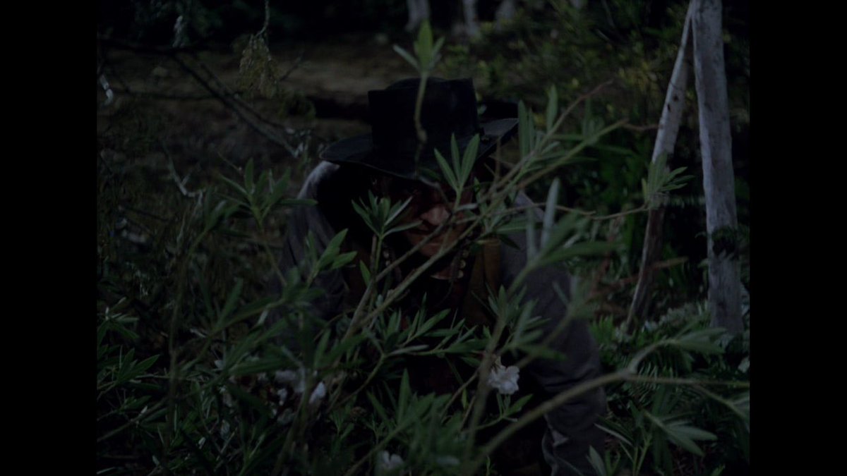 emapolve's tweet photo. Bend of the River // Anthony Mann, 1952 https://t.co/eJotrhE3oh
