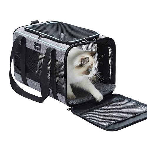 dalikills's tweet photo. I just received Vceoa 17.5x11x11 Inches Cat, Dog Carrier for Pets Up to 16 Lbs, Soft-Sided Cat Bag Animal Carriers Travel Puppy Carry As a Toy of Fabric Pet Home - 17.5"L x 11.0"W x 11.0"H - XH from dali_qq via Throne. Thank you! https://t.co/jdM7zV8zqe #Wishlist #throne https://t.co/5NHVvAgzTf