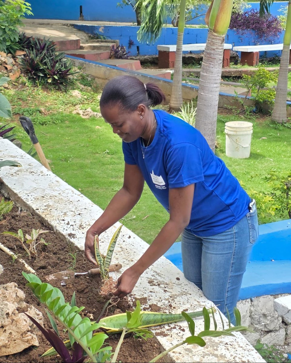 NWC Jamaica tweet media