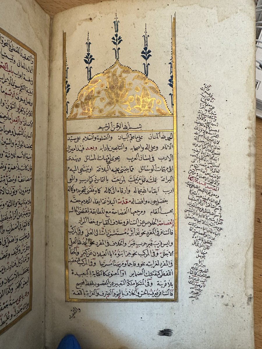 Themanuscriptdetective tweet media