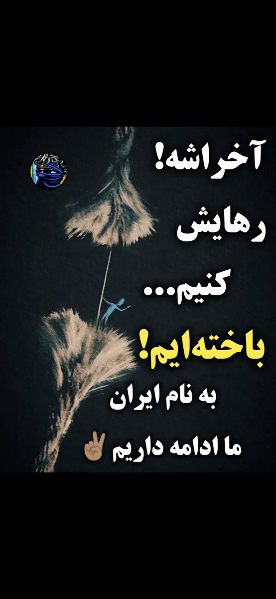 Fay( Fattaneh) tweet media