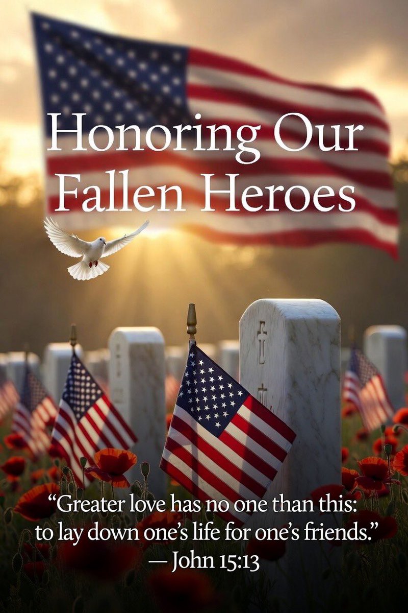SCIFonSol's tweet photo. Today we honor our fallen heroes. 
Without them we as Americans wouldn’t be able to enjoy our freedom and our beautiful country. They put everything on the line for the betterment of everyone else here at home and to them we owe an infinite amount of respect and honor 🇺🇸🙏🕊️ https://t.co/kZ7Rm8a1DJ