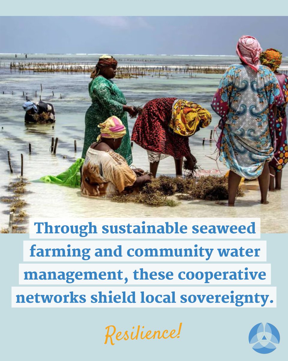proutglobal's tweet photo. Mutual aid practices in Zanzibar prove that community collaboration is the best defense against crisis. Leave us your thoughts. #EthicalExchange #Zanzibar #CooperativeEconomy #PROUT https://t.co/8bT0M91Mzm