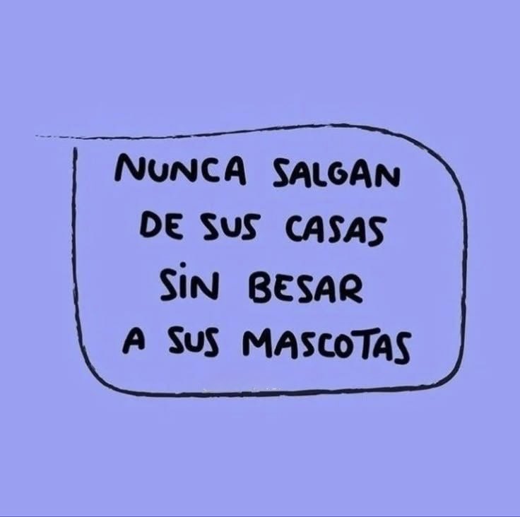 Dilo con dibujos tweet media