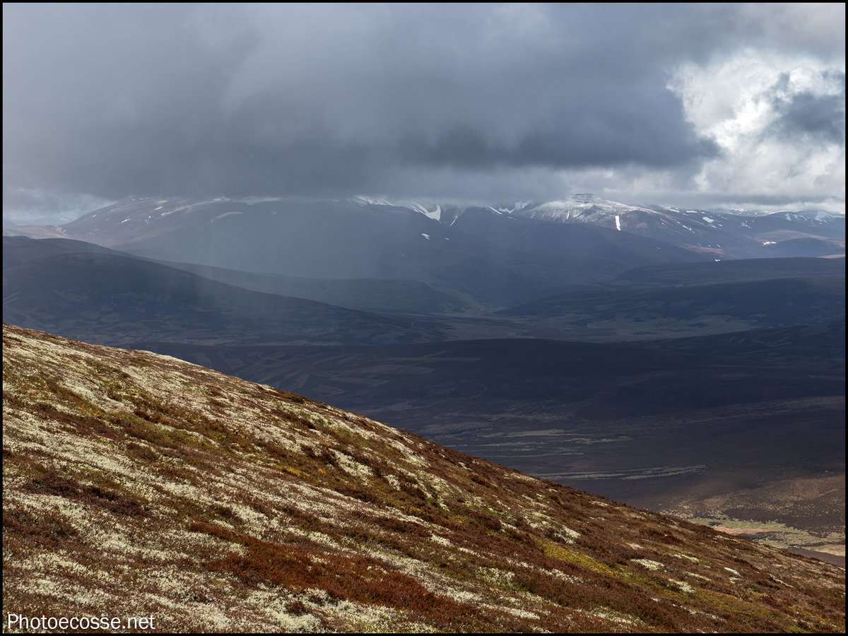 GarethHarper1's tweet photo. A few photos from my recent walk up #CàrnEalasaid
13-05-26
#A939
#BeinnaChruinnich
#Lecht
#Corbett
#Corbetts
#Hillwalking
#photoecosse https://t.co/4Uj8agU8Yw