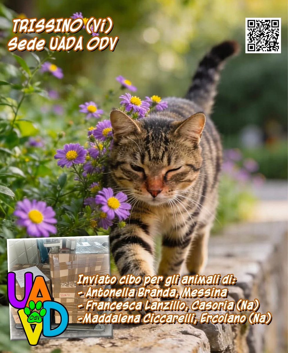 unonlus's tweet photo. iniziamo la settimana
2 pacchi spedizione da lei pagata x i mici di Antonella Branda
1 pacco cadauno x i mici di Francesca Lanzillo e Maddalena Ciccarelli ( pagate da riffa)
Per #DIFFONDERE ed #AIUTARCI, clicca su questo link: https://t.co/CrpgShBBkL https://t.co/7vKasDK66J