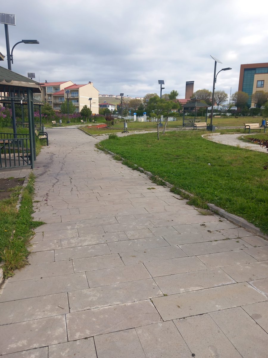 Erciş Belediyesi tweet media