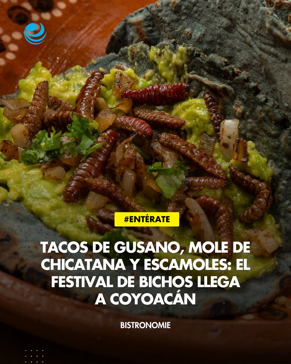 eleconomista's tweet photo. 🍽 Bistronomie | Tacos de gusano, mole de chicatana y escamoles llegarán a Coyoacán con el Festival del Bicho. 🌮🐜 https://t.co/h8lxIg70qw https://t.co/U62ekBku8r
