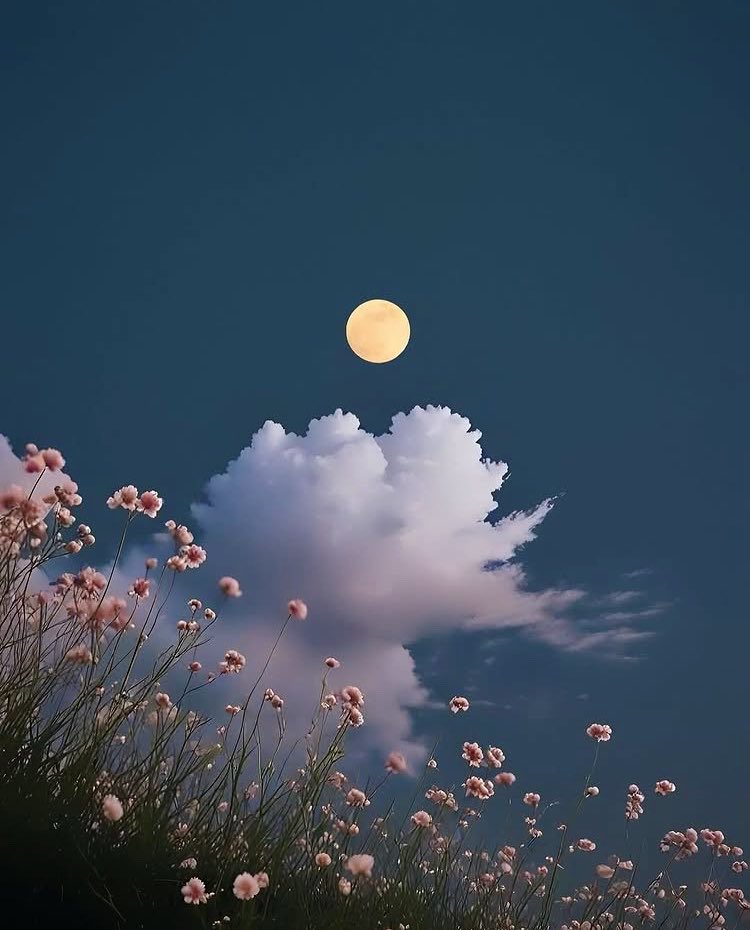 🦋 Nilgün 🦋 tweet media