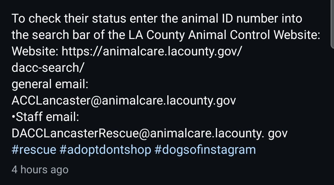 Foster a shelterpet at ZERO COST🐾 tweet media