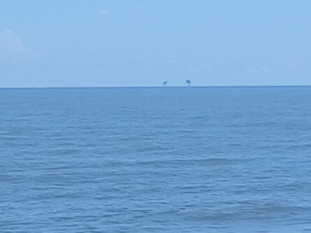 Palestranger17's tweet photo. Calm Gulf 
Water sort of blue
I'll take it 
have a wonderful memorial day https://t.co/33G58IbNF3