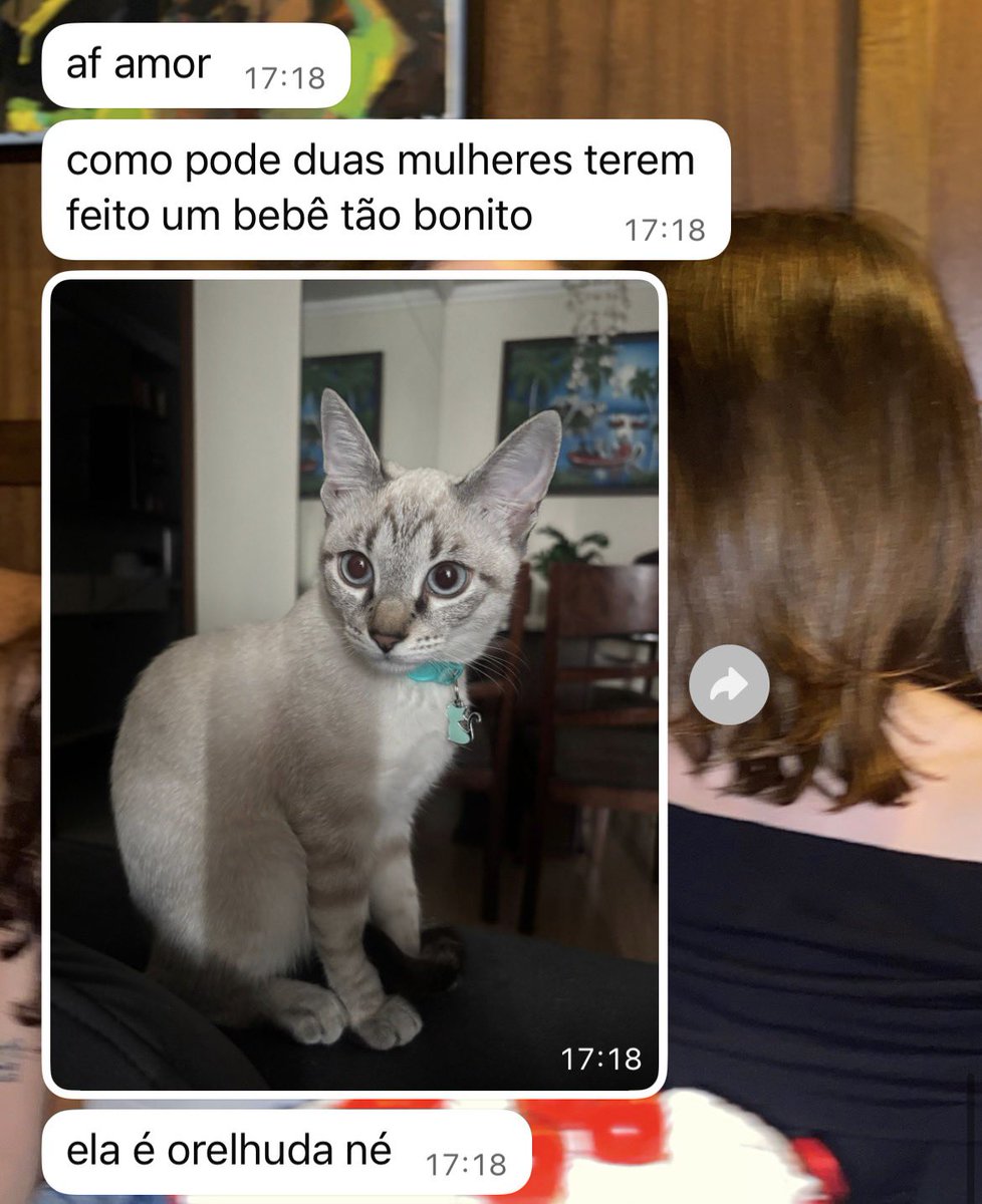 vicky não sabendo falar ✨ tweet media