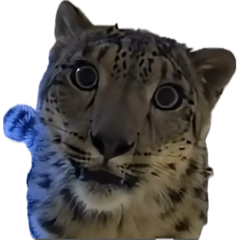 Ree8761's tweet photo. Where are all the gassy tuxes at https://t.co/2Xg72440mo