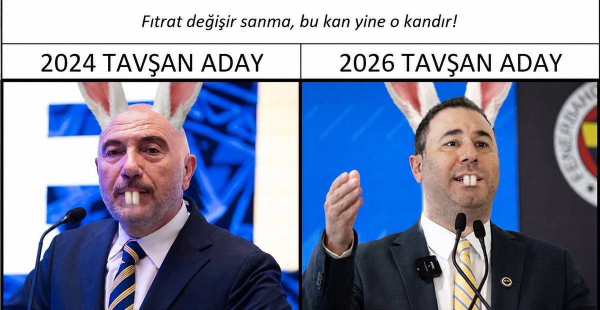 Sari Lacivert Mikrofon tweet media