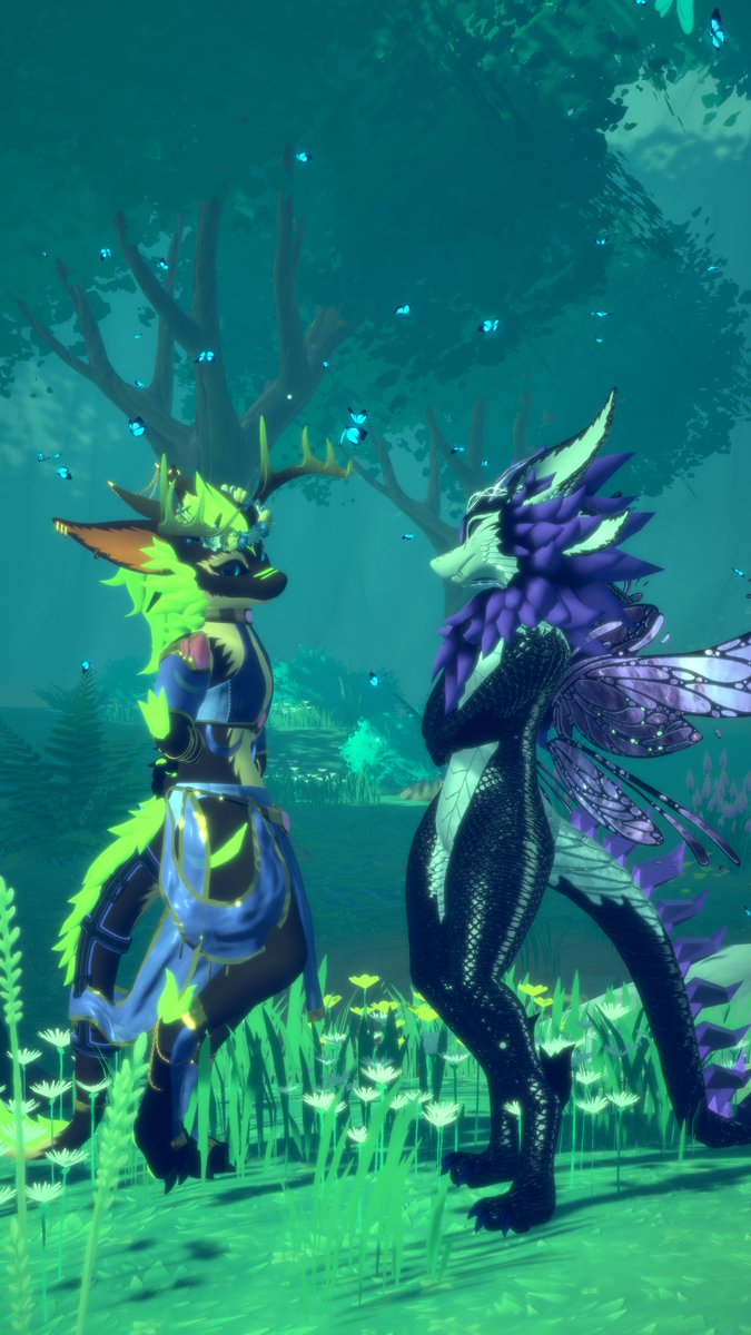 Yuruwolf's tweet photo. Found this nice butterfly while exploring the woods 

🦋 @Sapphire_Naxara https://t.co/GeN6UsaFLs