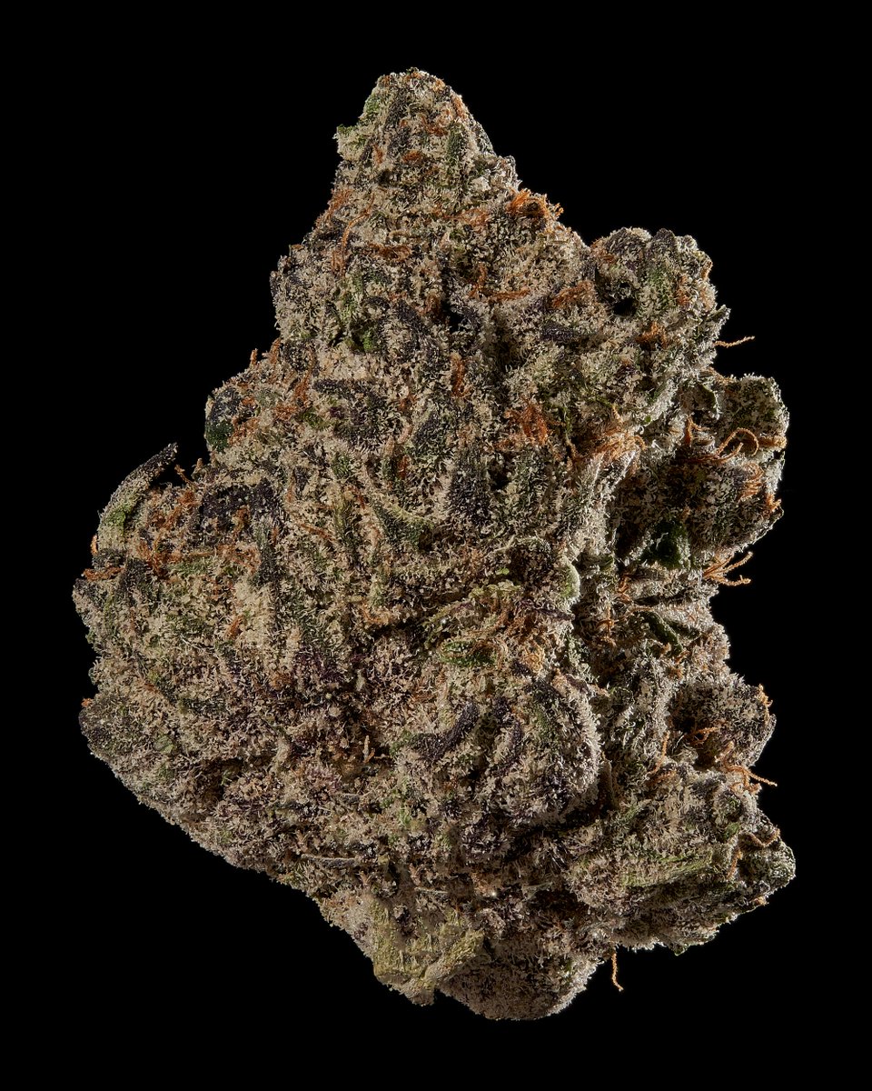 Cportmerch's tweet photo. Adult Use Only 21+
#Blacktie discount code: CPORTMERCH 💸
BOSTON GEORGE (EXOTIC) THC-A Flower
THC-A: 29.68%
Delta-9 THC: ND
Total THC: 26.03%
Total Cannabinoids Analyzed: 26.73%
https://t.co/A0KGlu1gVz
#Hemp #BulkThca #discountcode #affiliate #THCA https://t.co/ob6cRk5Mmd
