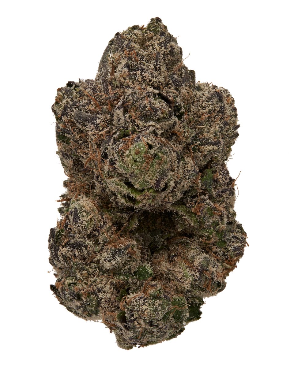Cportmerch's tweet photo. Adult Use Only 21+
#Blacktie discount code: CPORTMERCH 💸
BOSTON GEORGE (EXOTIC) THC-A Flower
THC-A: 29.68%
Delta-9 THC: ND
Total THC: 26.03%
Total Cannabinoids Analyzed: 26.73%
https://t.co/A0KGlu1gVz
#Hemp #BulkThca #discountcode #affiliate #THCA https://t.co/ob6cRk5Mmd