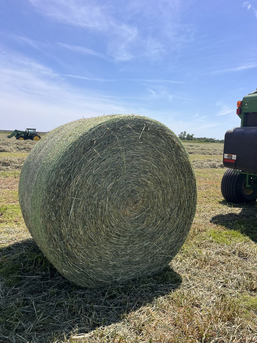MariaCoxFarm's tweet photo. Sold out of last year’s crop, now onto 2026 hay season. First bale looking good! 👍 https://t.co/4knCFxD6ZL
