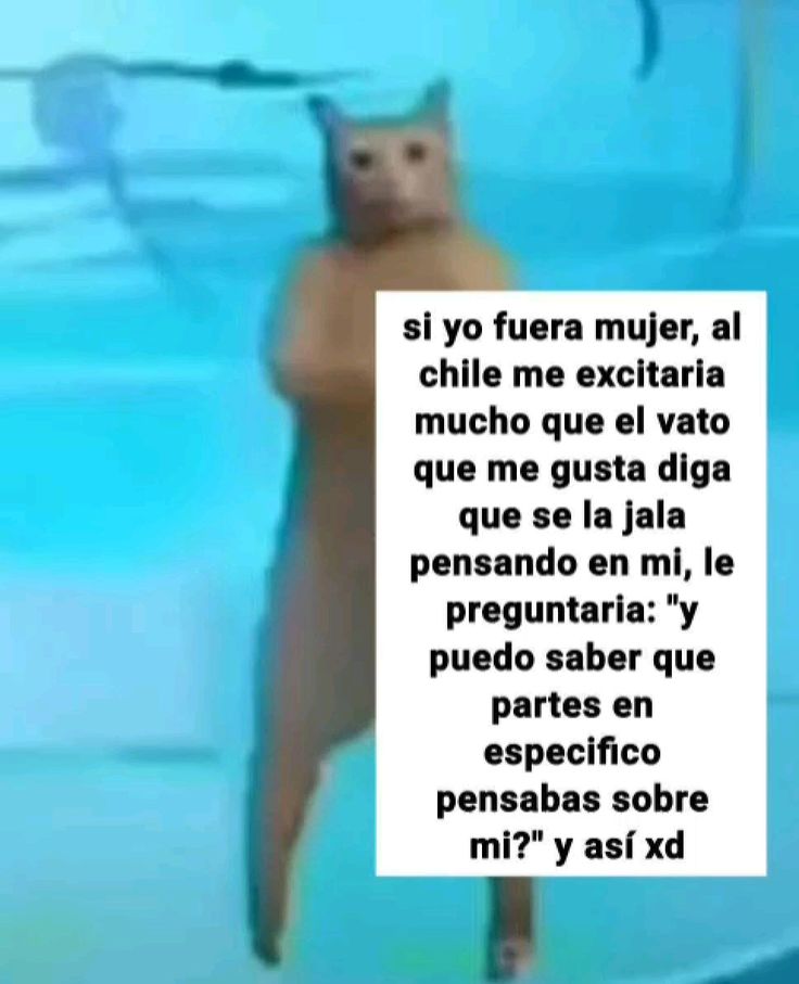 brixa 😼 Vera a BTS ✨ tweet media
