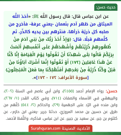 هيلمان π tweet media